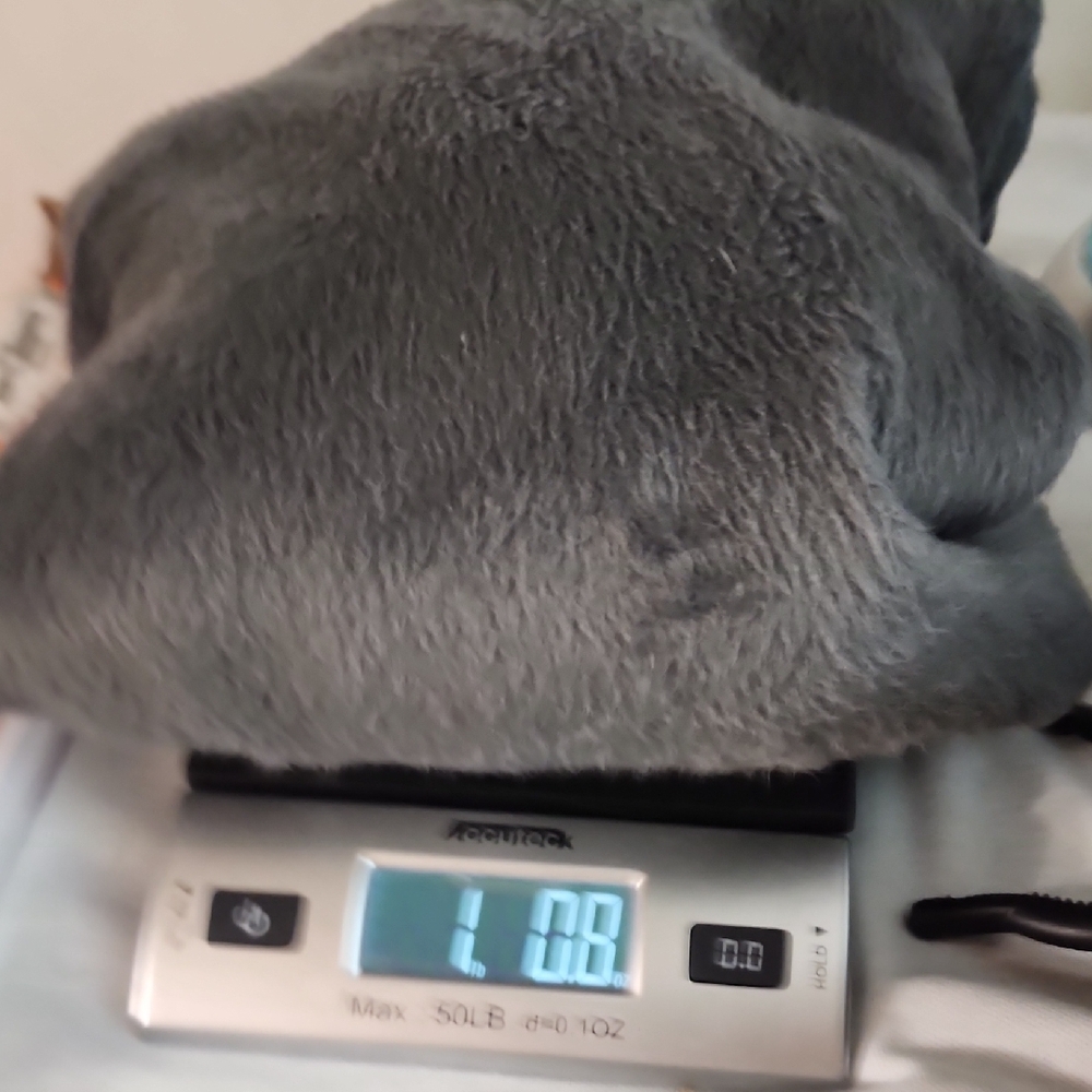 Urban Outfitters Standard Cloth Dark Gray Fleece Zip-Up Sweater Size M - Picture 8 of 8